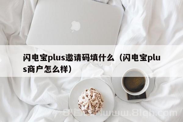 闪电宝plus邀请码填什么（闪电宝plus商户怎么样）