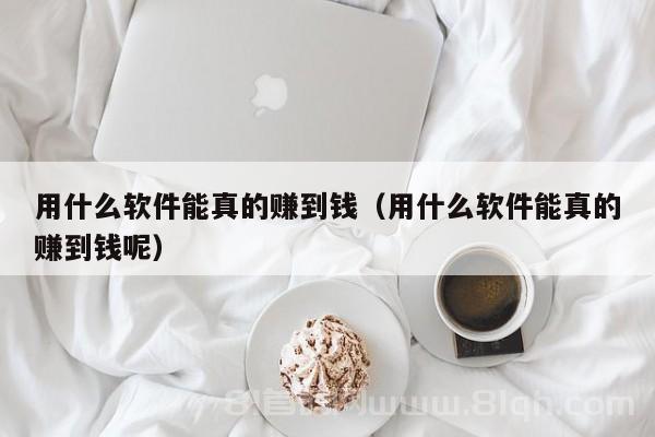 用什么软件能真的赚到钱（用什么软件能真的赚到钱呢）