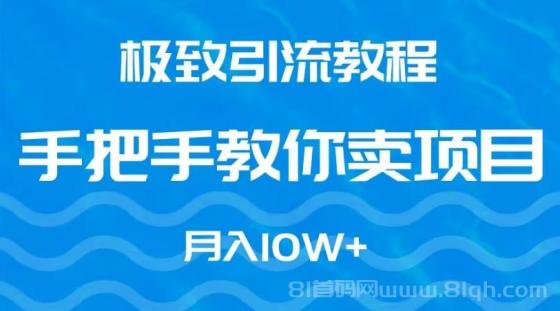 极致引流教程，手把手教你卖项目，月入10W+