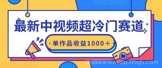 最新中视频超冷门赛道，轻松过原创，单条视频收益1000＋