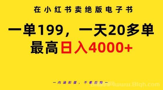 在小红书卖绝版电子书，一单199 一天最多搞20多单，最高日入4000+教程+资料