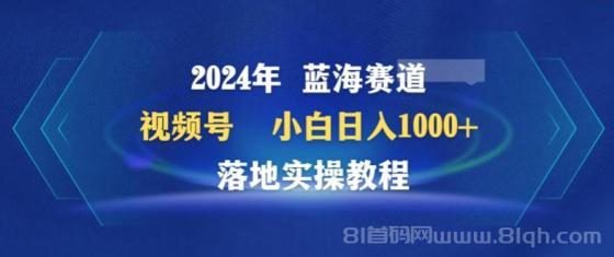 2024年视频号蓝海赛道，小白日入1000+，落地实操教程