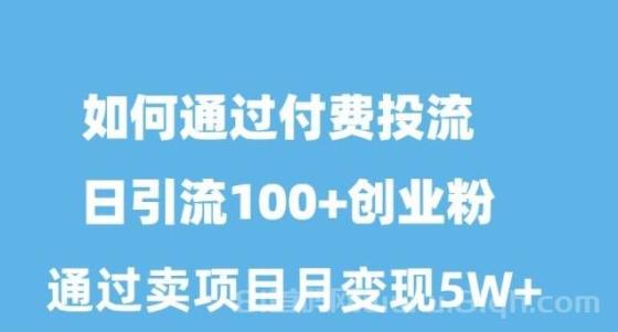 如何通过付费投流日引流100+创业粉月变现5W+