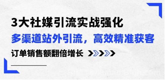 3大社媒引流实操强化，多渠道站外引流/高效精准获客/订单销售额翻倍增长