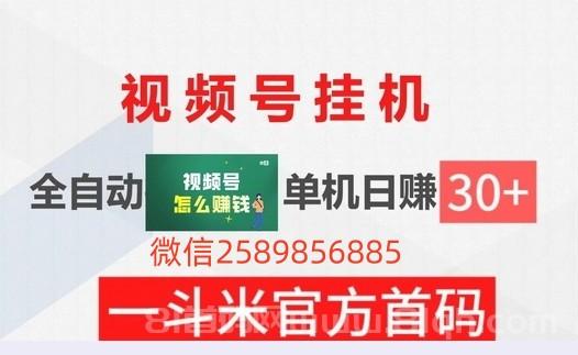 一斗米视频号自动点赞：零成本挂机，轻松日赚，开启自动化赚钱新篇章！