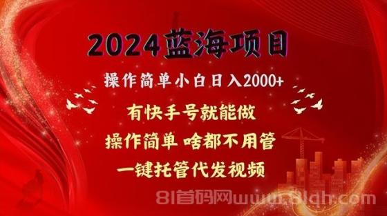 2024蓝海项目，网盘拉新，操作简单小白日入2000+，一键托管代发视频