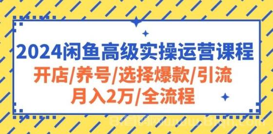 2024闲鱼高级实操运营课程：开店/养号/选择爆款/引流/月入2万/全流程