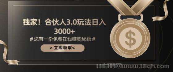 游戏合伙人3.0，日入3000+，无限扩大的蓝海项目