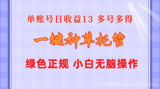 一键种草托管单账号日收益13元 10个账号一天130 绿色稳定 可无限推广