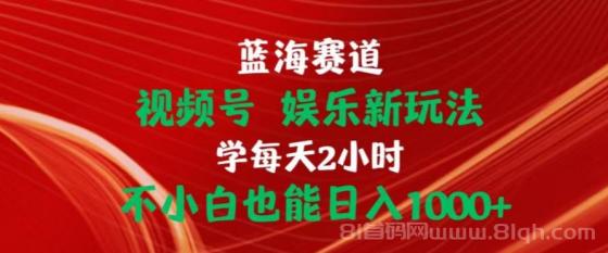 蓝海赛道视频号娱乐新玩法每天2小时小白也能日入1000+