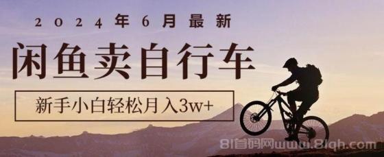 2024年6月最新闲鱼卖自行车，新手小白轻松月入3w+项目