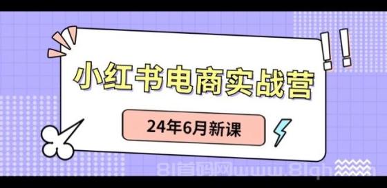 小红书电商实战营：小红书笔记带货和无人直播，24年6月新课