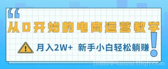 从0开始的电商运营教学，月入2W+，新手小白轻松躺赚