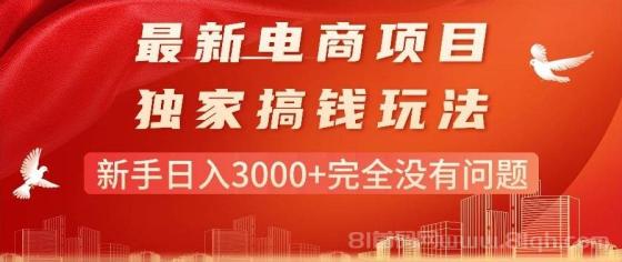 最新电商项目-搞钱玩法，新手日入3000+完全没有问题