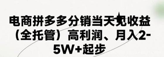 最新拼多多模式日入4K+两天销量过百单，无学费、 老运营代操作、小白福利