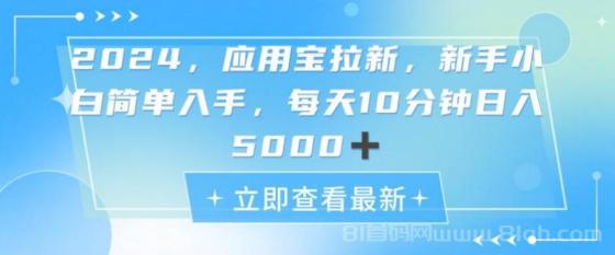 2024应用宝拉新，真正的蓝海项目，每天动动手指，日入5000+