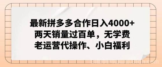 最新拼多多合作日入4000+两天销量过百单，无学费、老运营代操作、小白福利