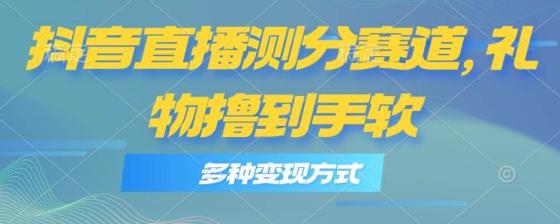 抖音直播测分赛道，多种变现方式，轻松日入1000+