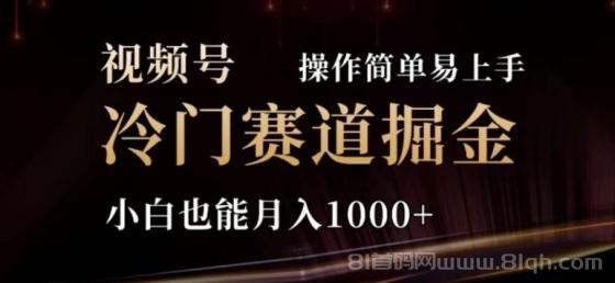 2024视频号冷门赛道掘金，操作简单轻松上手，小白也能月入1000+