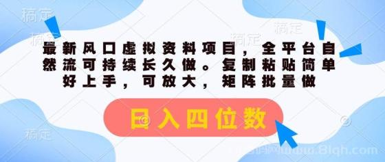 最新风口虚拟资料项目，全平台自然流可持续长久做。复制粘贴 日入四位数