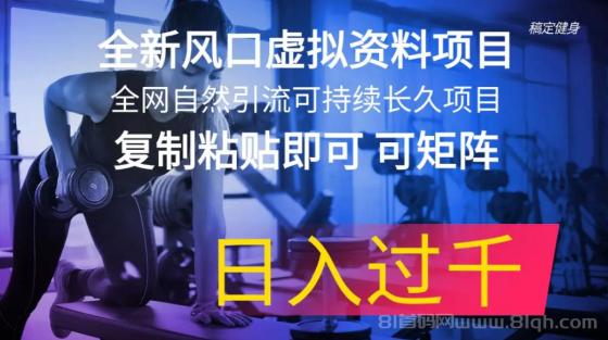 全新风口虚拟资料项目，全网自然引流可持续长久项目，可矩阵，日入过千