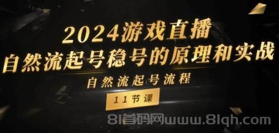 2024游戏直播-自然流起号稳号的原理和实战，自然流起号流程（11节）