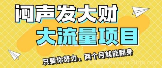 闷声发大财，大流量项目，月收益过3万，只要你努力，两个月就能翻身