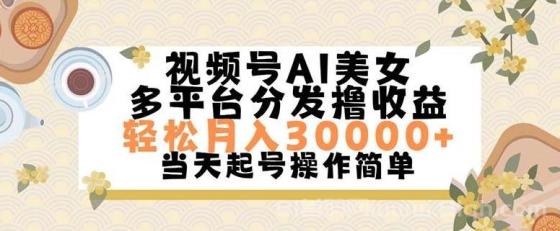 视频号AI美女，轻松月入30000+,操作简单轻松上手