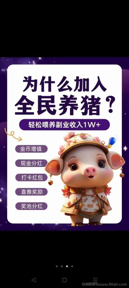 全民养猪：首码发布，开启财富增长新纪元，日入过万不是梦！