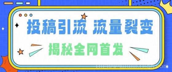 所有导师都在和你说的独家裂变引流到底是什么首次揭秘全网首发，24年最强引流，什么是投稿引流裂变流量，保姆及揭秘