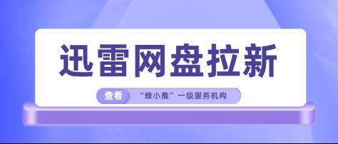 蜂小推，干货满满！迅雷网盘拉新的高效实战指南