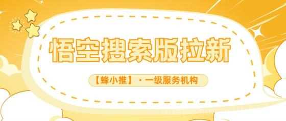 【蜂小推】新手如何做好悟空搜索版推广？这份指南帮你少走弯路