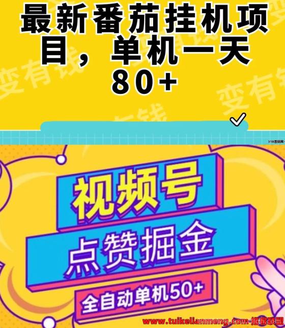 新番茄挂机挣钱靠谱吗?学生暑假赚钱必备