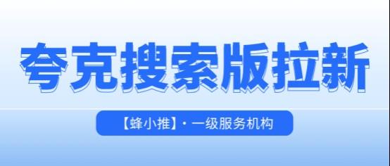 蜂小推，夸克搜索版推广起量：玩家都在用的实战攻略
