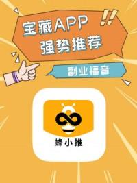 蜂小推,迅雷网盘拉新,普通人的“睡后”收益捷径