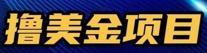 海外广告撸金—纯挂机,十个账号单台电脑日入500+,可放大可矩阵,工作室优先