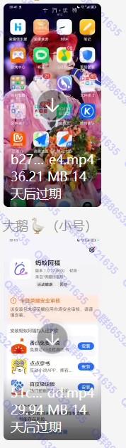 锦鲤夺宝 长期稳定 100+