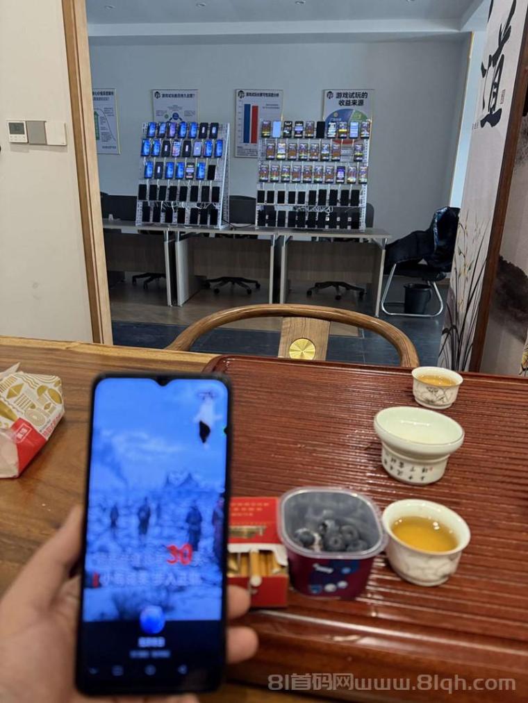 AI全自动游戏试玩广告分成｜零风险创业，保本签约+实地考察，日入30-80+秒到账