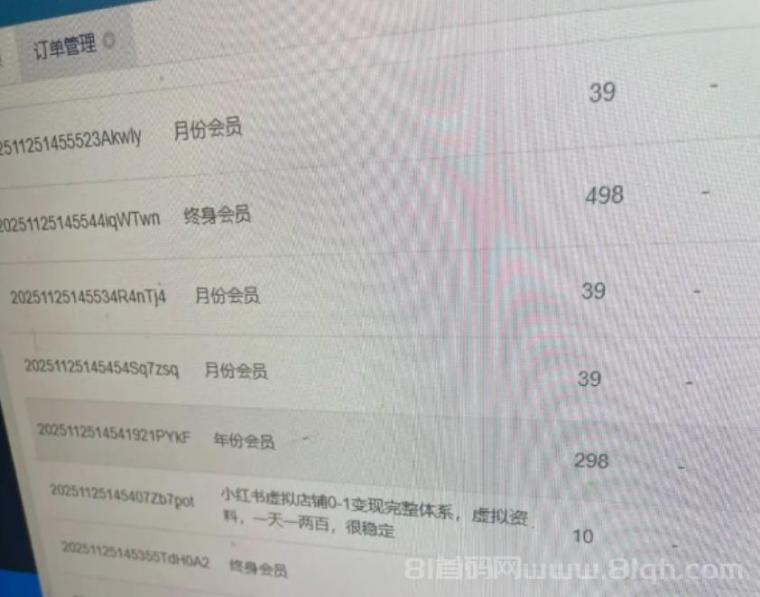 普通人做网创虚拟资源网站，实现月入过万，我手把手教你做！（干货）