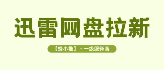 实用干货！适配多场景的迅雷网盘推广技巧