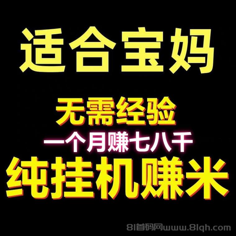 躺赚：2026新版挂机支持多平台零撸全自动，上号越多单价越高宝妈兼职日入几十米