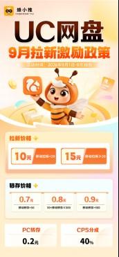 UC网盘推广多维实操解析,帮你理清激励期项目完整逻辑